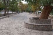 اجرای طرح هادی در تمام روستاهای بالای ۲۰ خانوار خوزستان