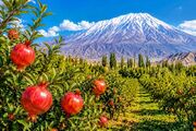 سنگان خاش در مسیر توسعه با تکیه بر کشاورزی و گردشگری
