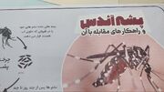 مقابله با پشه آئدس نیازمند مشارکت عمومی و تقویت مراقبت‌های بهداشتی است