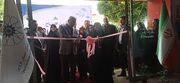 حمایت از اشتغال بانوان، اولویت دولت در توسعه کسب‌وکارهای خانگی است