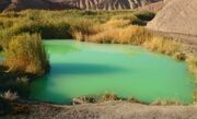 آغاز مطالعات «آب‌تلخه لاسجرد» با ویژگی‌های برجسته هیدرولوژیکی در مسیر احیای تالاب‌ها