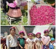 شلیلوند، روستایی با عطر بهشتی گل محمدی