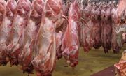 مجوز واردات گوشت برای شهرداری تهران هنوز صادر نشده‌است