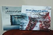 کتاب شعر "پچه ی باران و دلی ته نگ" در سنندج رونمایی شد