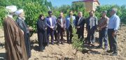 عضو مجلس خبرگان: توسعه بخش کشاورزی با علم و دانش میسر است