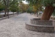 ۹۵ درصد روستاهای بابلسر طرح هادی دارد