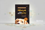 «هنر مسابقه زیر باران»؛ داستانی از یک راوی عجیب