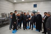 معاون وزیر جهاد کشاورزی: امنیت غذایی امروز مرهون سرمایه‌گذاران است