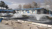 مدیرکل شیلات کرمانشاه خواستار کمک به توسعه آبزی‌پروری در استان شد