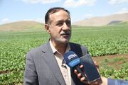 طرح‌های آبیاری و زهکشی فرصتی برای رشد اشتغال پایدار/ ۴۰ هزار فرصت ایجاد شد