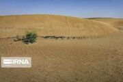 نبرد با بیابان