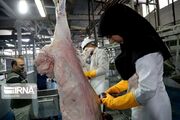 تاکید استاندار خراسان شمالی بر تسریع اجرای پالایشگاه صنعتی دام