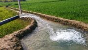 تخصیص ناعادلانه آب به کشاورزان خوزستان پایان یابد