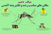 رئیس مرکز بهداشت نیکشهر: پیشگیری مؤثرترین راه مقابله با بیماری‌های منتقله از پشه آئدس است