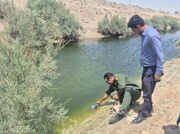 رهاسازی غیرمجاز فاضلاب در ورودی زابل زیر ذره‌بین محیط زیست