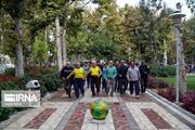 «سالمندان مجرد»؛ پدیده‌ای اجتماعی در یک قدمی ایران
