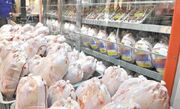 طرح حمایتی خرید مرغ در بوشهر آغاز شد