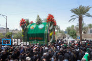 نخل‌ها در جاجرم به حرکت درآمدند؛ کویر در سوگ حسین(ع)
