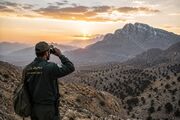 هوشمندسازی؛ راهبرد جدید سازمان محیط زیست برای حفاظت از حیات‌وحش