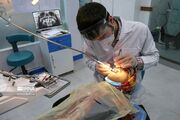توهم بی‌اهمیتی دندان‌های شیری؛ بهای سنگین غفلت والدین در سلامت دهان کودکان