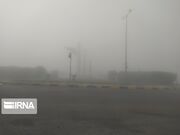 رطوبت و شرجی هوا در استان بوشهر افزایش می‌یابد