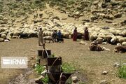 افزایش هزینه های دامی و محدودیت منابع آبی چالش جامعه عشایری سبزوار است