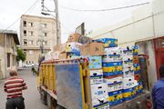 باند توزیع داروهای دامپزشکی قاچاق و تقلبی در مازندران منهدم شد