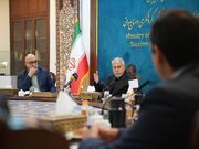 صالحی‌امیری: کاروان ملی سوگ میناب در کشور راه‌اندازی می‌شود