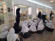 فارس در مسیر راه‌اندازی موزه مدارس؛ جایی برای یادگرفتن از تاریخ