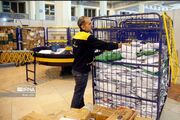 اخبار کوتاه/ مشعل گاز روستاهای «وکیل‌آباد» و «پیله‌سحران» نیر روشن می‌شود