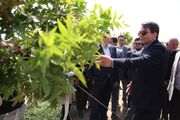 استاندار کرمان از ناهمگونی میان مصرف آب و بازدهی اقتصادیِ بخش‌ کشاورزی استان انتقاد کرد