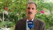 استقرار کشاورزی حفاظتی در دیمزارها ضروری است