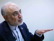 دو خاطره صالحی از نگاه رهبر شهید به دیپلماسی