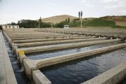 نخستین شهرک آبزی‌پروری کشور در اردبیل احداث می‌شود