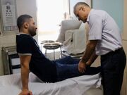 بیش از ۲۰۰ میلیارد ریال به درمان حیوان‌گزیدگی در اردبیل هزینه شد