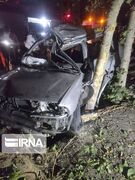 مرگ راننده پراید در برخورد با درخت بزرگراه جلال آل احمد