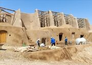 ظرفیت نشان‌دار کردن مالیات برای ثبت جهانی آسبادهای خراسان جنوبی فعال شود