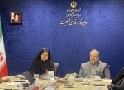 دبیر ستاد ملی جمعیت: ازدواج باید در صدر سیاست‌های جمعیتی قرار گیرد