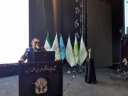 باید مدیریت صادرات را در بازارهای هدف توسعه دهیم / بازنگری در سیاست های ارزی و تجاری