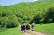 رئیس پارک ملی ارسباران: مشارکت مردمی نیروی محرکه حفاظت از جنگل‌هاست