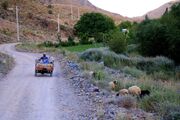فیلم | پَستوی گردشگری کرمان؛ واقعیت‌های پنهانِ دهستان «گروه» (بخش نخست)