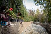 جای خالی «اکوپارک» در سمنان «پایتخت تنوع زیستی ایران»