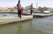 پرورش ماهی کپور در شهرستان نیمروز؛ الگویی موفق برای اشتغال و تولید در منطقه سیستان