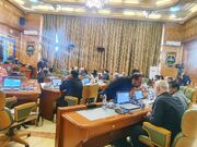 انتقاد عضو شورای شهر به قطع درختان پایتخت