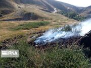 ۱۳۰ هکتار از مناطق حفاظت‌شده خراسان رضوی دچار حریق شد