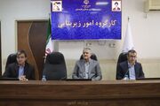 معاون استاندار: فرایند واگذاری زمین‌های راکد در سیستان و بلوچستان بازنگری می‌شود