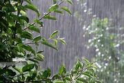 پیش‌بینی بارش‌های پراکنده در شمال کشور/ تداوم رگبار و رعدو برق در جنوب شرق