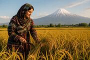 جادوی «نقش‌مایه‌های کهن» بر تنِ دنیای مدرن؛ سهم مازندران کجاست؟