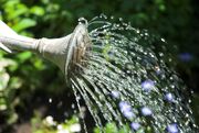 احیای باغچه در میانه موج گرمای تابستانی