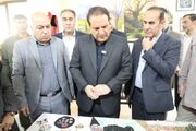 چرخ مهارت‌آموزی ۳۰ هزار کارآموز ایلامی به گردش درآمد